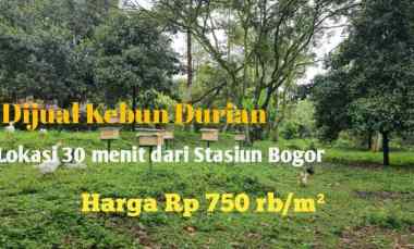 Dijual Kebun Durian Bonus 2 Villa 2 Lt Lokasi dekat Stasiun Bogor