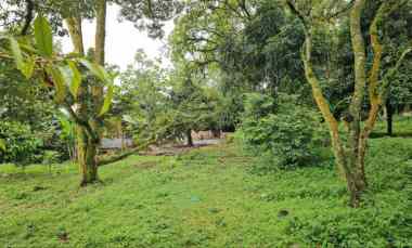 Tanah Kebun Durian dan Villa Bogor Tamansari dekat Bogor Barat