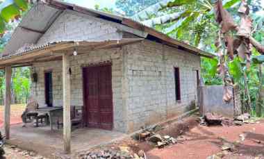 Dijual Murah 450 juta Tanah Kebun Alpukat 2216m Karanganyar