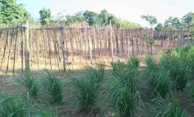 Tanah Dijual di Tangguntiti