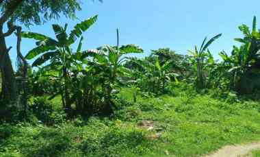 Dijual Tanah di Tanjung Benoa dekat Nusa Dua, Jimbaran Bali