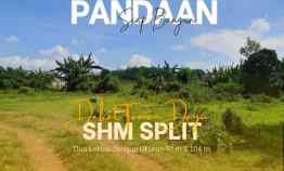 Tanah Dijual di Tanjungsari, Tanjungarum, Kec. Sukorejo, Pasuruan, Jawa Timur 67161