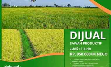 Tanah Sawah Produktif Tanjungwangi Majalaya Kabupaten Bandung
