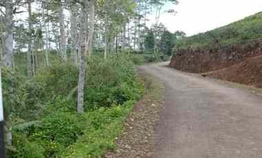 Dijual Tanah Kebun Produktif dan Strategis Pinggir Jalan