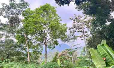 Tanah 1000m2 dekat Ponpes Isy Karima Tawangmangu Karanganyar