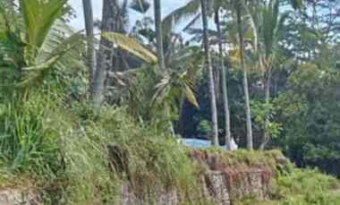 Tanah Dijual di Tegallalang, Gianyar, Bali