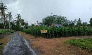 dijual tanah tegalsari kepanjen
