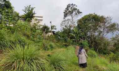 Tanah Dijual di Temas