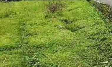 Tanah Strategis Lokasi Temas Kota Wisata Batu Jawa Timur