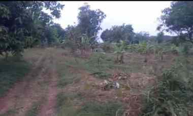 Dijual Tanah Kebun Pinggir jl Raya Desa di Pancalang Kuningan