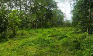 Dijual Lahan Area Pemukiman 1.7Ha Teras Boyolali 450rb/m2