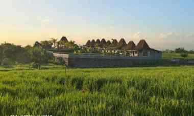 Tanah View Sawah Gunung dan Laut dekat Pasut dan Kelating Bali