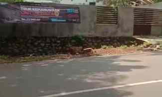 Tanah Komersial Ring 1 Undip Jalan Timoho Raya Bulusan Tembalang