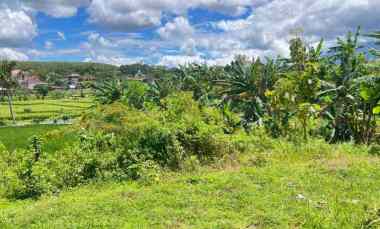 Tanah Dijual di Timur Kantor Kecamatan Kerjo, Karanganyar, Jawa Tengah