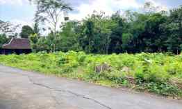 Tanah Kebun Jati 276m2 Timur Pasar Jambangan, Mojogedang