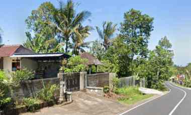 Tanah Dijual di Tiying Gading, Tabanan, Bali