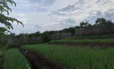 Tanah Subur untuk Pertanian dan Kebun Harga Borongan Termurah Kota Batu