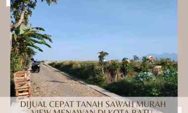Tanah Sawah Subur Harga Termurah View Kota Batu Mudah Dijangkau