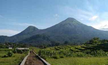 Dijual Tanah Trawas View Gunung Penanggungan dan Sawah