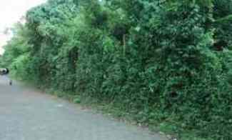 Tanah di Denpasar Timur dekat Teras Ayung dan Living World