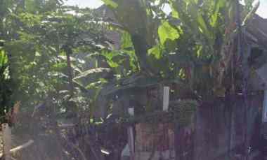 dijual tanah tukad batanghari