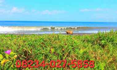 Dijual Tanah Los Pantai jl Ida Bagus Mantra Tulikup Gianyar Bali