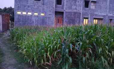 Dijual Tanah untuk Kos-kosan atau Perumahan Deket Kampus UMS Surakarta