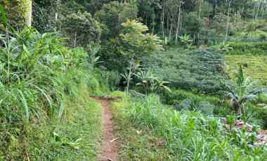 Dijual Tanah Investasi 2243m2 dekat Candi Cetho Karanganyar