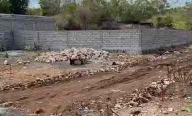 Dijual 19,5 are, jl. Prabu Udayana Utara Rektorat UNUD Jimbaran