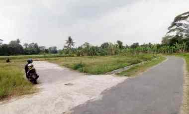 Tanah Hook di Utara SD Model Wedomartani Ngemplak Sleman Yogyakarta