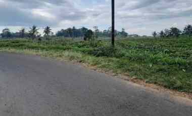 Tanah Dijual di Peusing jalaksana