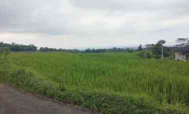 Tanah Dijual di Rando bawa ilir kec. mandirancan