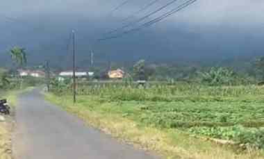 Tanah Dijual di Peusing jalaksana kuningan