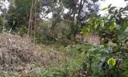 Dijual Tanah Darat Kebun Manggis Subur Wanayasa Purwakarta