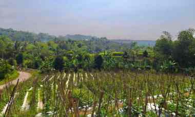 Jual Murah Tanah Ladang Pinggir Jalan Mobil dan Pinggir Sungai Kecil