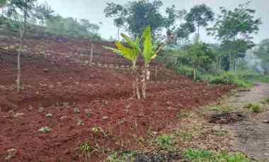 Tanah Strategis Matang 2,3 km ke Jalan Raya di Baleendah