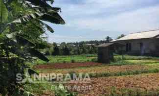 Tanah Pinggir Jalan dekat Stasiun Bojonggede dan Cilebut Rn