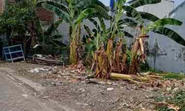 Tanah Dijual di Wonorejo Selatan Surabaya