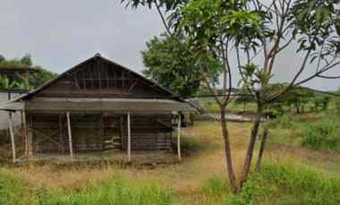 Tanah Dijual di Wringinanom Gresik