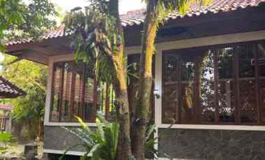 Dijual Villa jl. Bougenville, Kota Batu Ciomas Bogor Jawa Barat