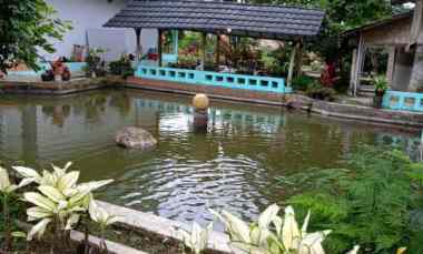 dijual villa villa pak awang cigombong