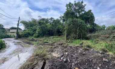 Dikontrakan 25 are, jl. Padonan Veteran Buduk Mengwi