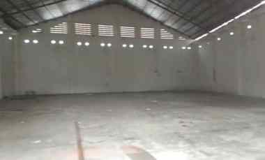 Komersial Disewakan di Jember Jawa Timur