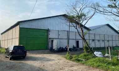 Komersial Disewakan di Kudus