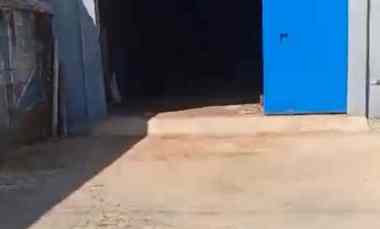 Komersial Disewakan di Pacitan