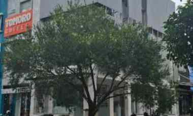 Ruko Hook 3 Lt Lokasi Strategis Boulevard Legenda Wisata Cibubur