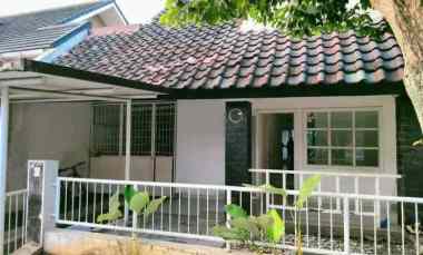 Jangan Sampai Lewat Disewakan Rumah di Anggrek Loka Bsd