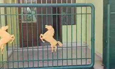 Dikontrakkan Rumah Kedung Turi Permai Ii Blok Dd-07 Sidoarjo