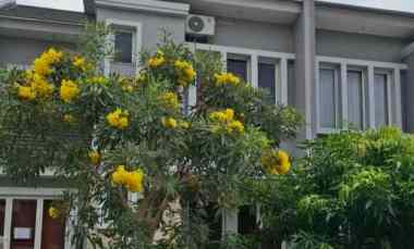 Rumah Disewakan di Suvarna padi cluster cempaka kedaton golf tangerang