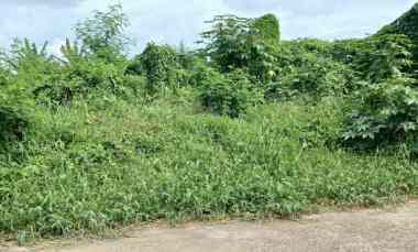 Disewakan Tanah 10 are di Kota Tabanan Bali